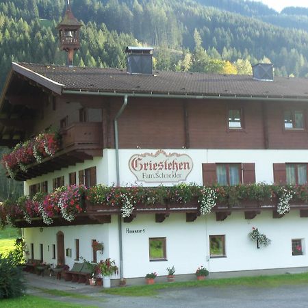 Bauernhof Grieslehen Acomodação com café da manhã Leogang Exterior foto