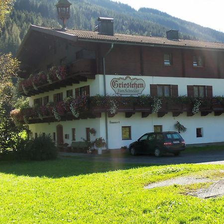 Bauernhof Grieslehen Acomodação com café da manhã Leogang Exterior foto